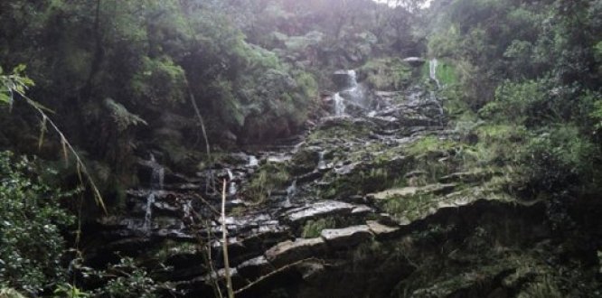 Foto Quebrada las Delicias tomada de Civico