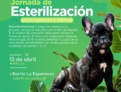 Jornada de esterilización en el barrio La Esperanza