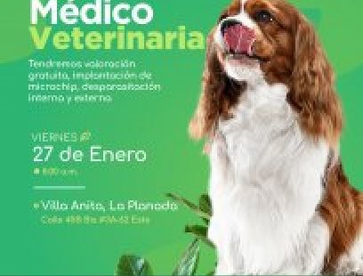 Jornada de bienestar animal