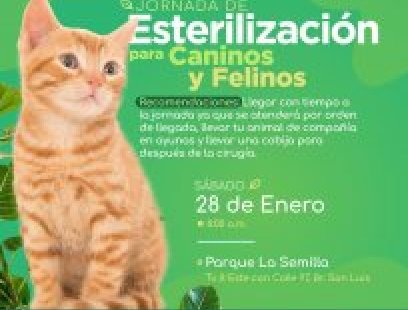 Jornada de esterilización