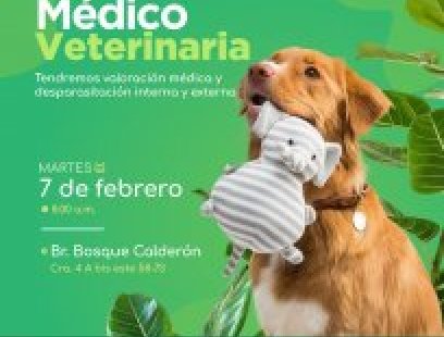 Brigada médico-veterinaria