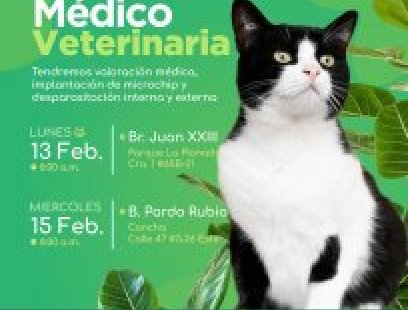 Brigada médico-veterinaria