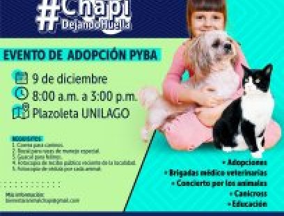 Jornada de adopción y bienestar animal